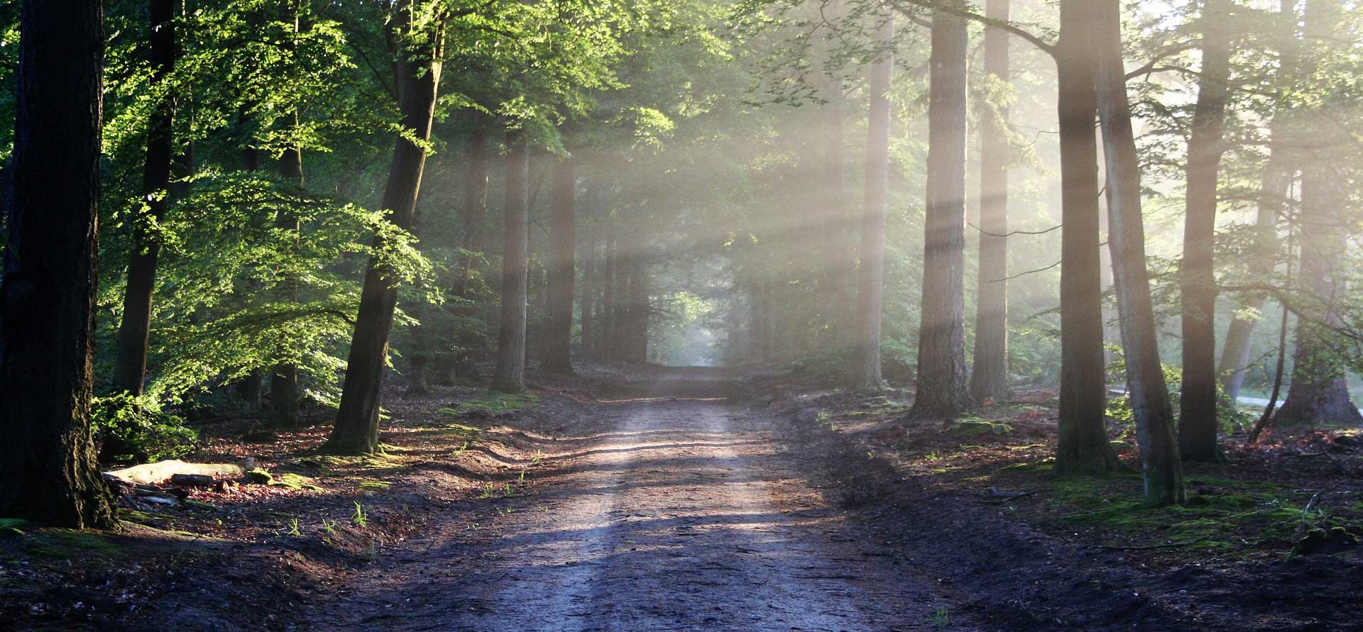 Welcome to learning more about EFT Meridian Tapping